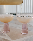 The Coconut Margarita Mix