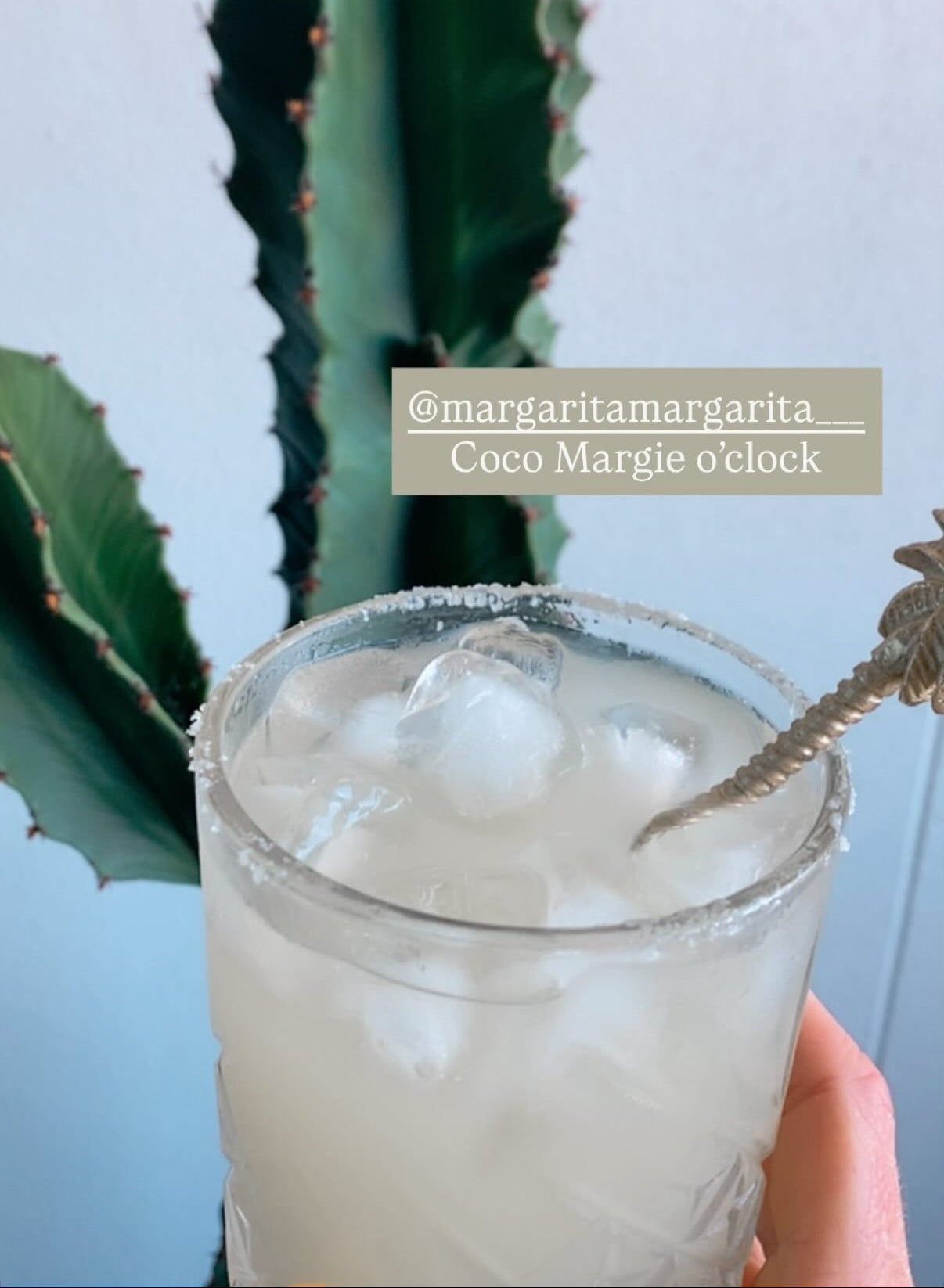 The Coconut Margarita Mix