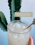 The Coconut Margarita Mix