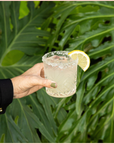 The Classic Margarita Mix