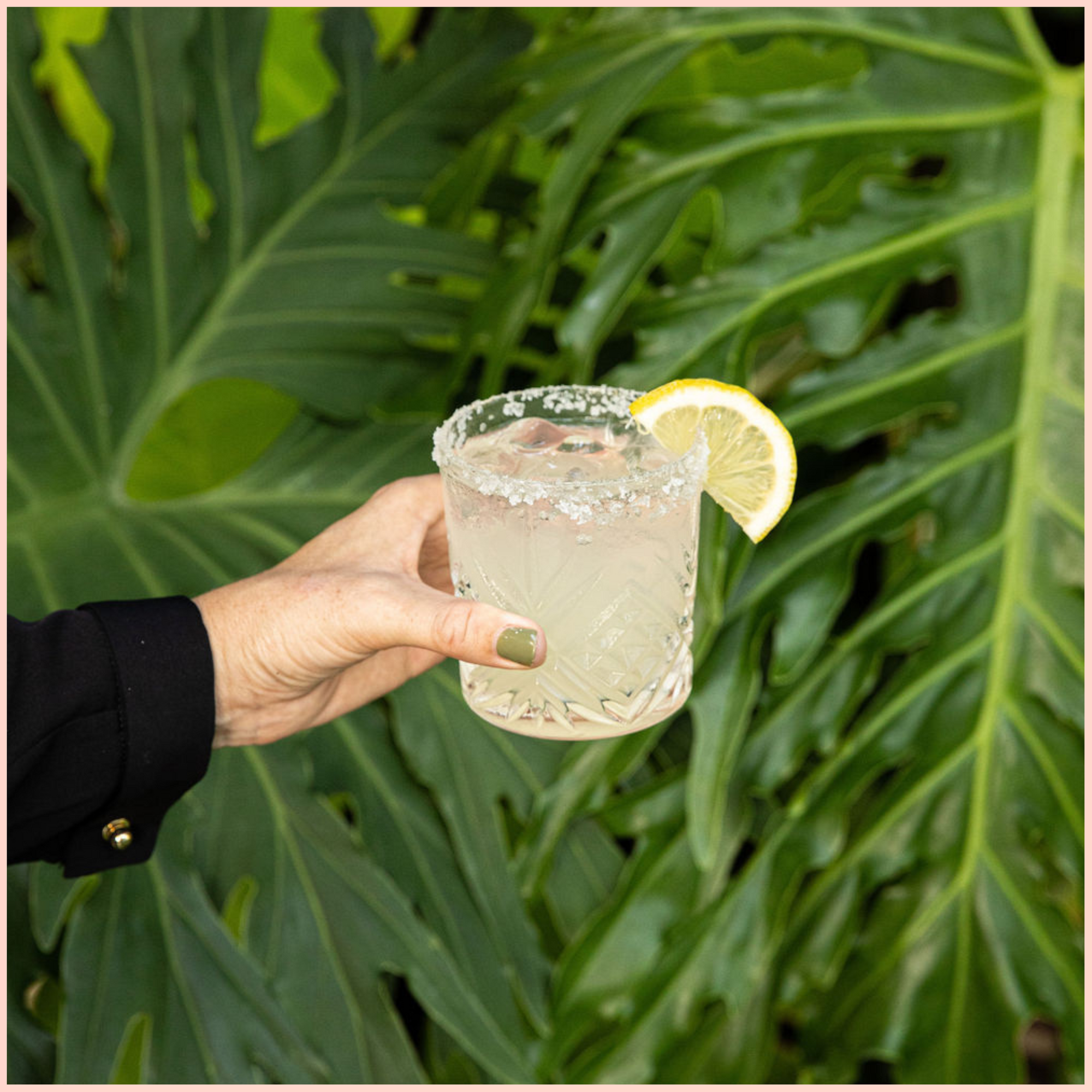 BUY 5 GET 1 FREE Margarita Mix 6L